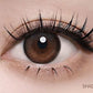 I-SHA Oriana 1 day(Shade Gray)(10P)