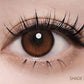 I-SHA Oriana 1 Day (Shade Brown)(10P)