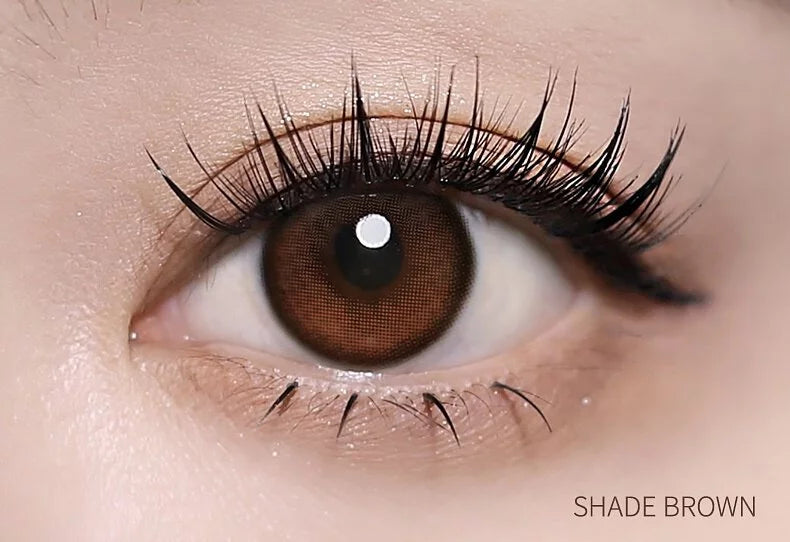 I-SHA Oriana 1 Day (Shade Brown)(10P)