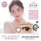 Flanmy 1 Day (Orange Brownie) (10P)